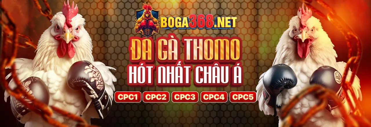 Sân đá gà trực tuyến Banca30 Code
